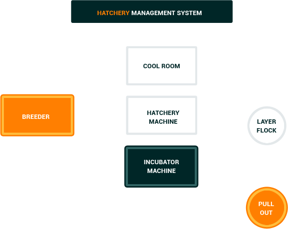 Hatcery Management System