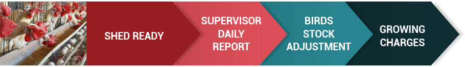 Broiler Management System