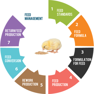 Feed Management System