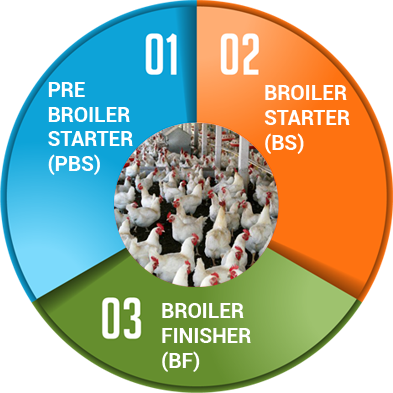Feed Management System