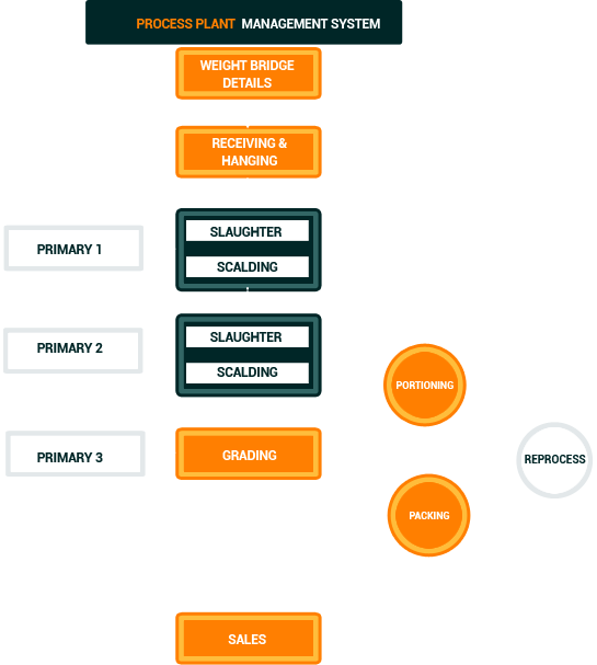 Processing - Plant Management System